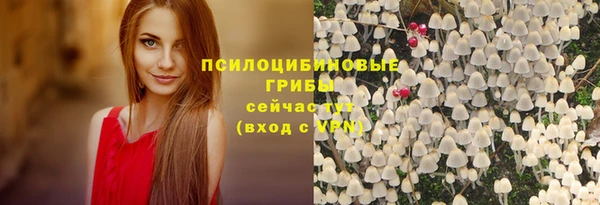 винт Коряжма
