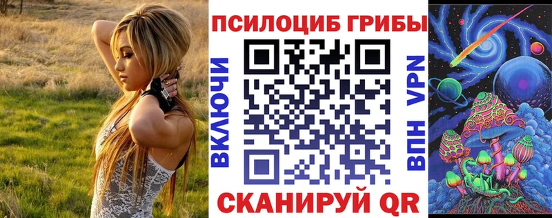 Галлюциногенные грибы Psilocybine cubensis  Купить закладки  Юрюзань 